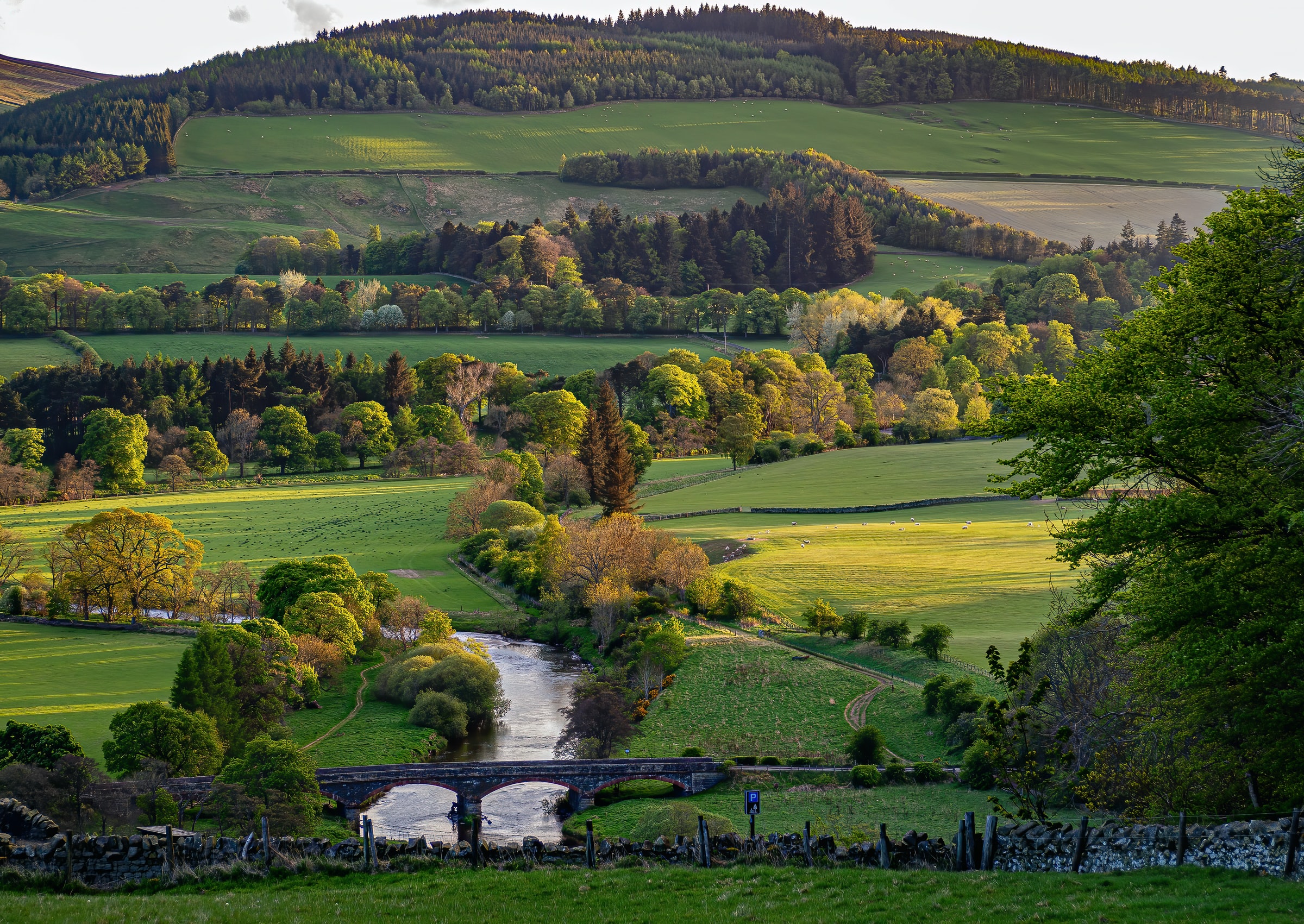 £20k grant available to young adults in the Borders