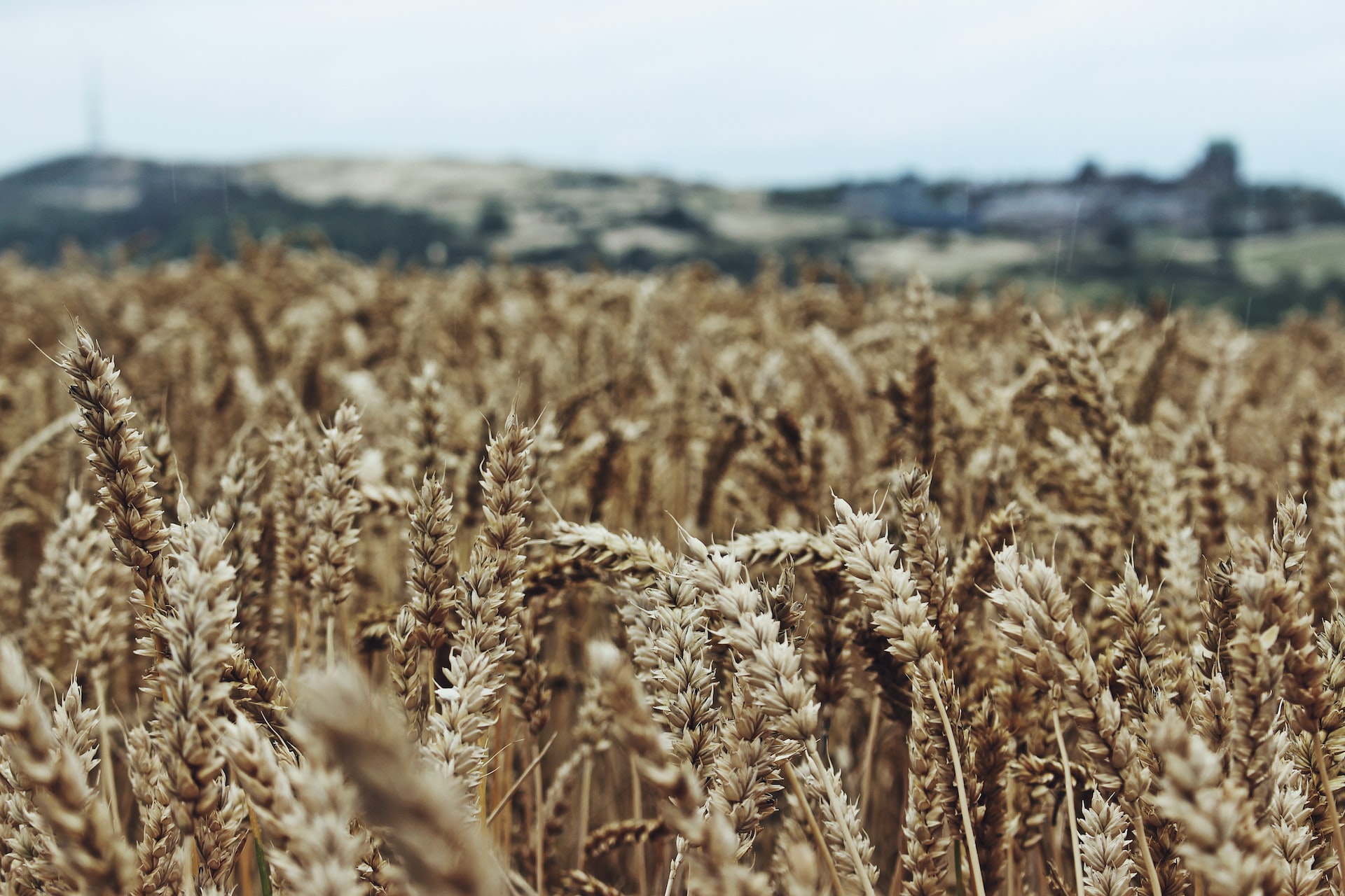 The Scottish Rural Leadership Programme is open for applications