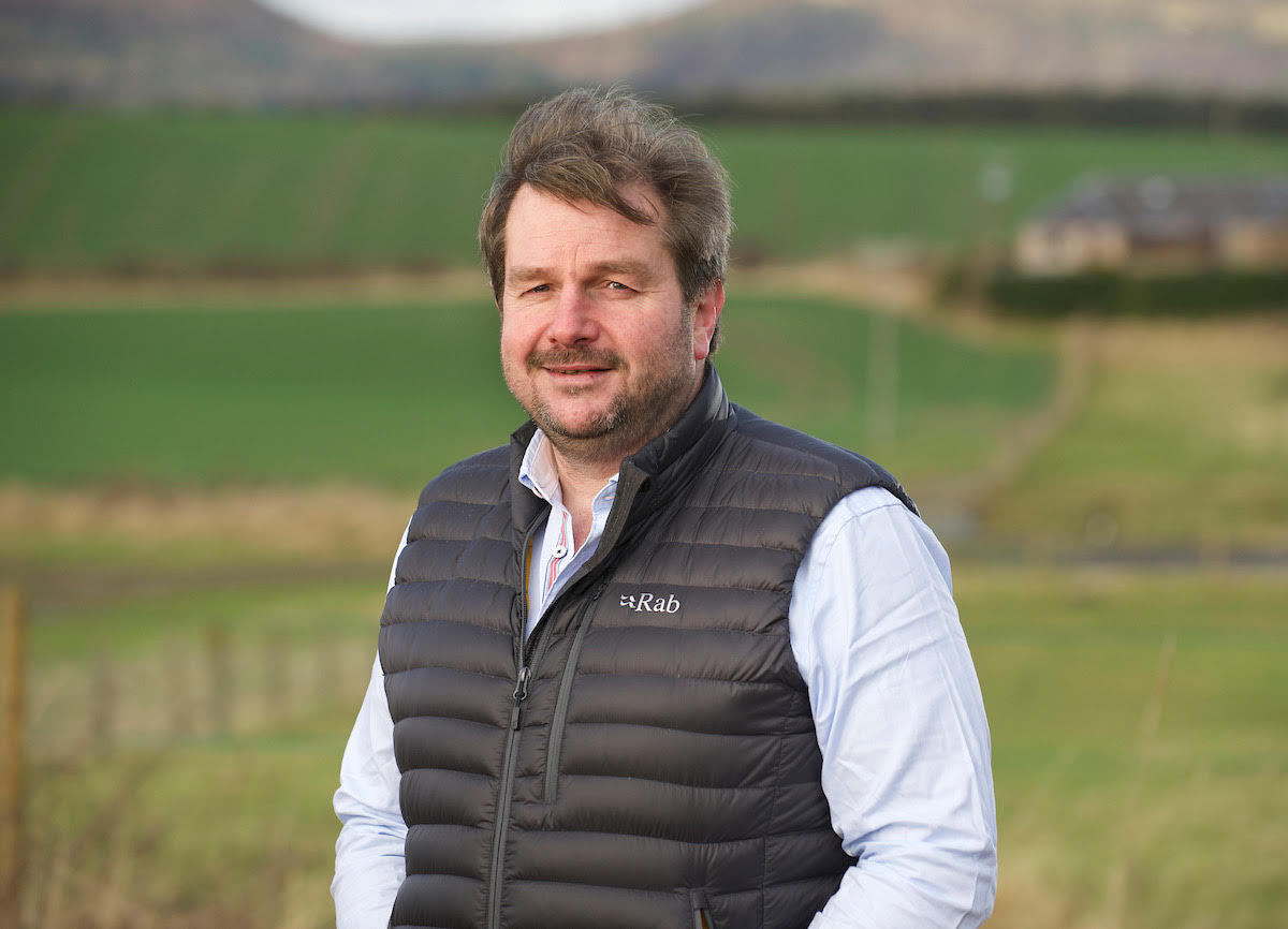 Interim Chair Announced